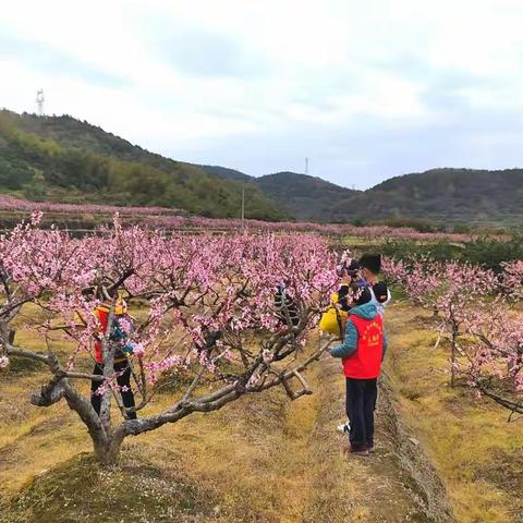 山海户外带小农人户外活动