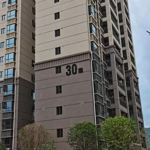 乾通30栋6月份施工情况