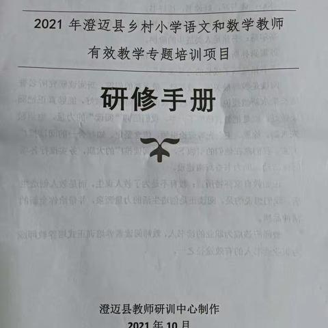 2021年澄迈县乡村小学语文和数学教师有效教学专题培训