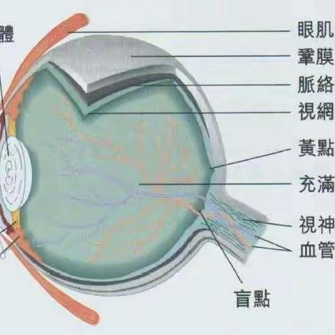 我们要保护好心灵的窗户——眼睛