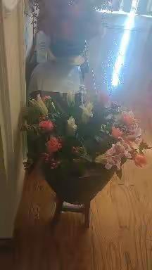 浇花是她的最爱！