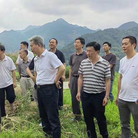 追踪红色足印，共聚画坪省府