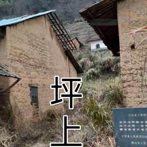 修水画坪苏区简介