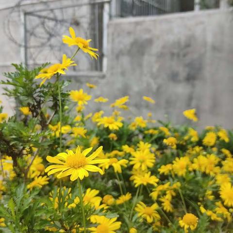 2022年蟠龙民族小学学生暑假需知。