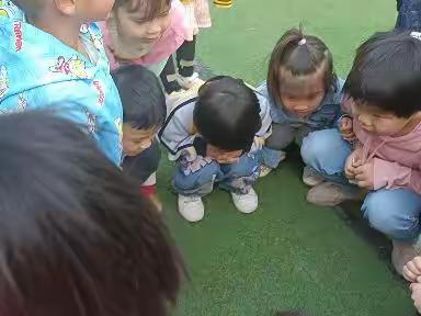 孩子们的快乐时光（第五期11.7-11.18）
