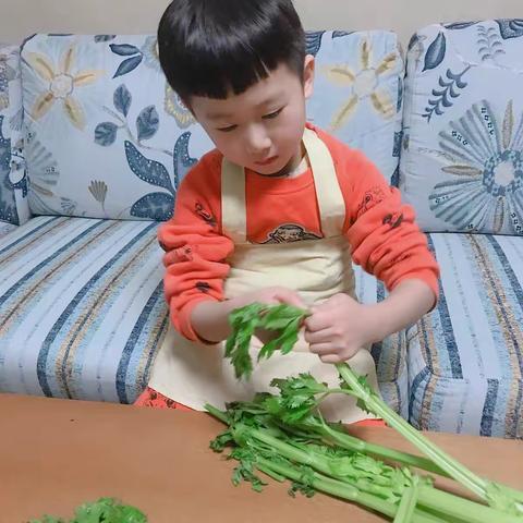 我是妈妈的小帮手   记小姚同学的第一个寒假