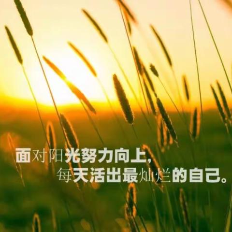 班主任工作感想——梦想才刚刚起航
