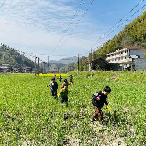 踏春赏花