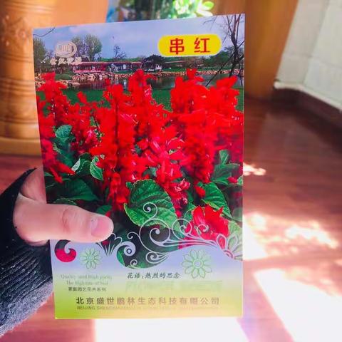 我和春天有个约会——晨晨种花记