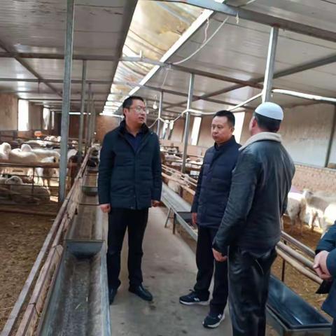 【聚沙成洲，奋力超越】虎关乡2月10日工作动态