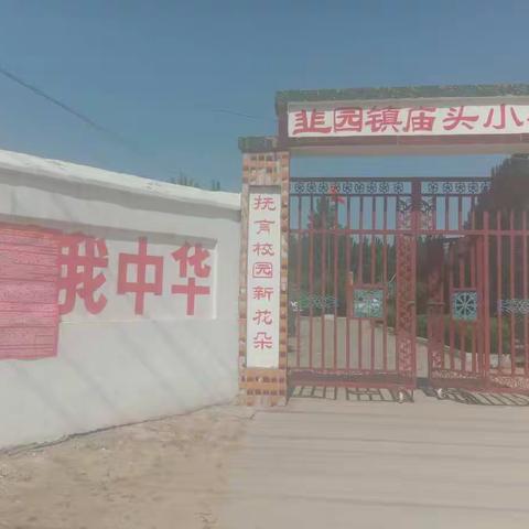 庙头小学师生师德师风及教育惩戒宣传活动