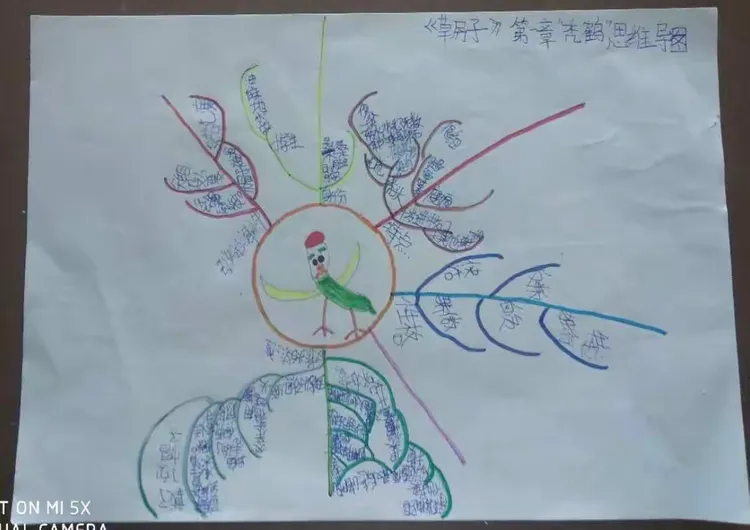 《草房子》秃鹤思维导图