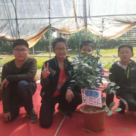 我的变废为肥变化记