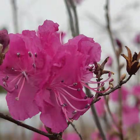 대포산산행