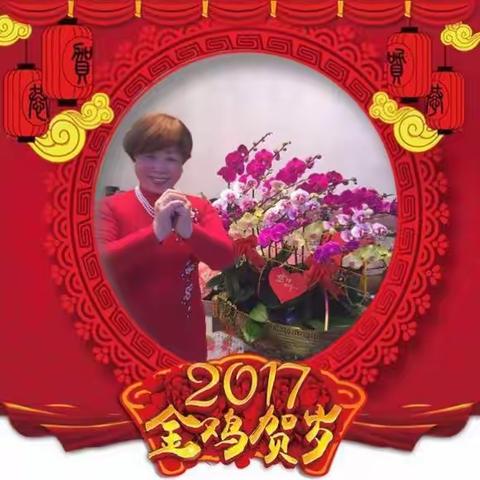 我的美篇