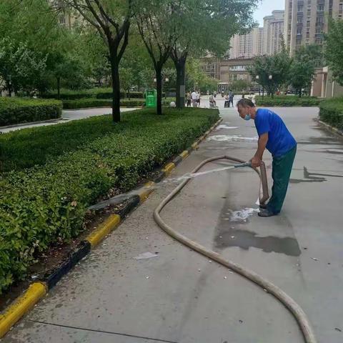 【物业行动】高温天气，绿化浇水“解渴”