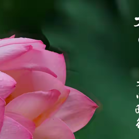 二十四节气之——大暑