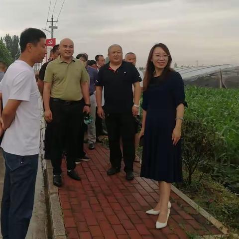 实地观摩拓思路 乡村振兴谋良策      —侯营镇人居环境观摩演绎“学思践悟 细照笃行”