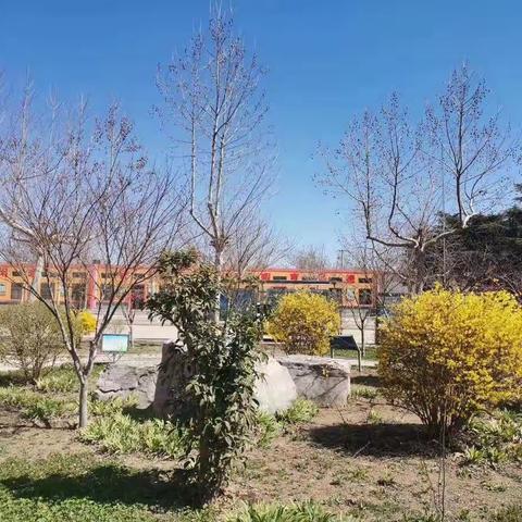 桃花依旧笑春风一界河镇中心小学线上教研活动总结
