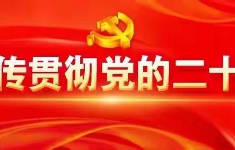 学习党的“二十大”精神——深刻领会开辟马克思主义中国化时代化新境界