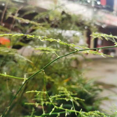 永远不要和层次不同的人争辩