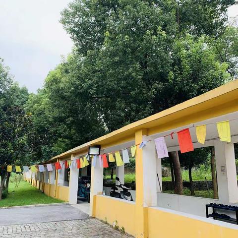 生活虽苦，愿你心中很甜。