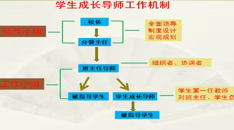 梳理分层思路，让教师在分层教学的海洋中畅游