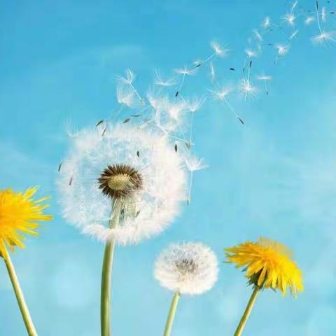 【家校共育，同心战疫】西湖区教体系统“三个一”助力家校共育