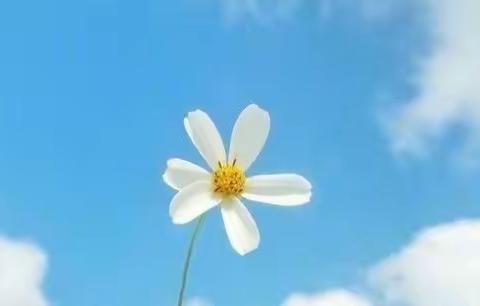 【前方抗疫有你 后方守护有我】西湖区教体系统关爱防疫一线医护工作人员子女行动（学校篇）