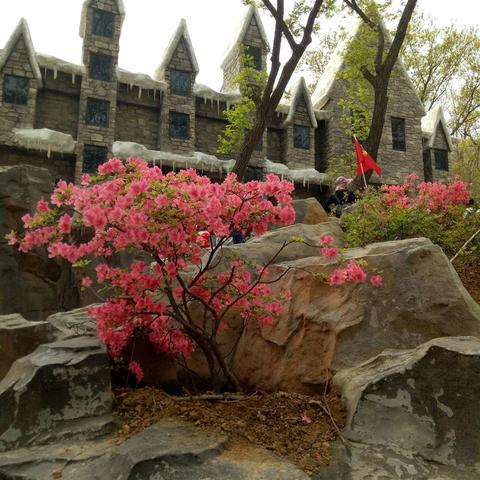 春和景明，研学在路上