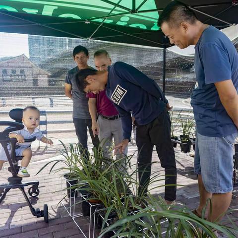 南平市民间文艺家协会建阳兰文化交易市场开市。