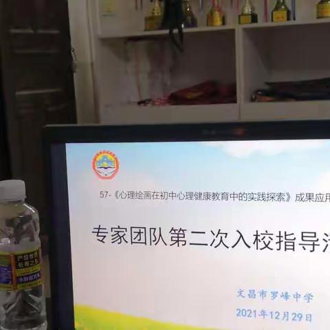 整理汇报再出发，且引且导促成长——罗峰中学应用课题中期成果汇报+课题成果推广专家团队第二次进校指导活动