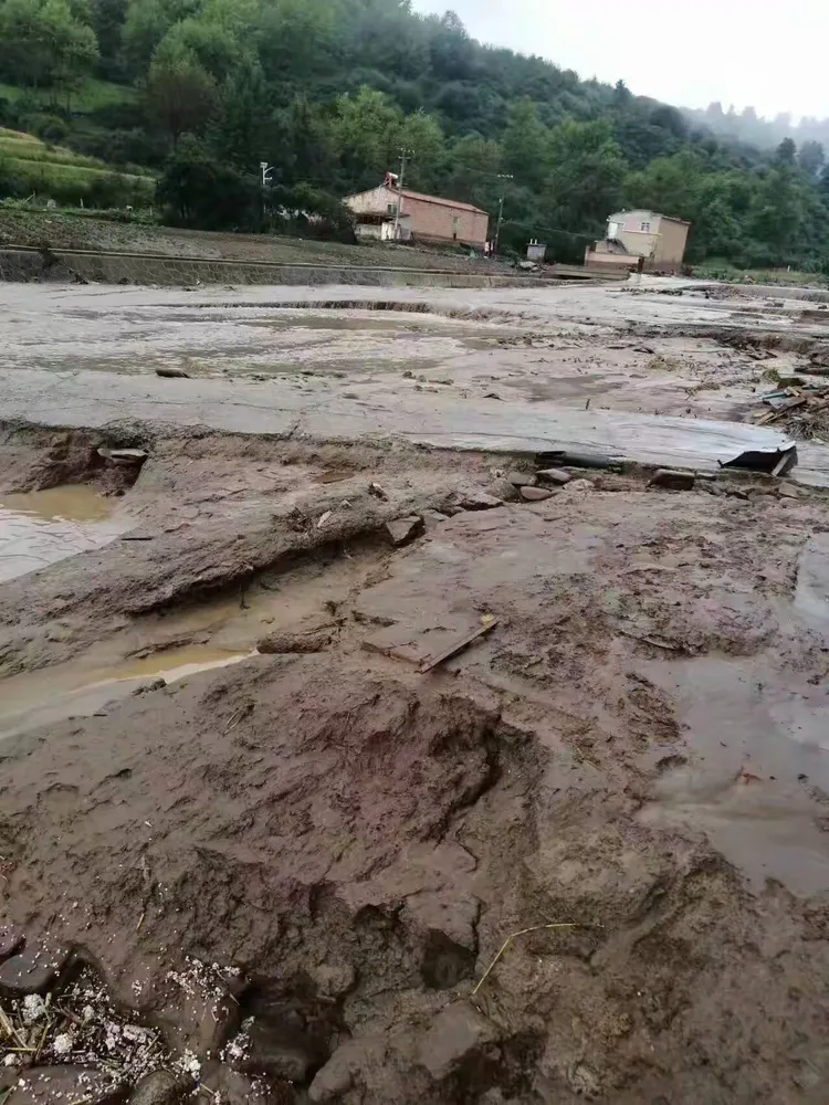  疫情过后的灾难(疫情之后的灾难)