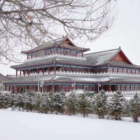 摄影|塞外春雪