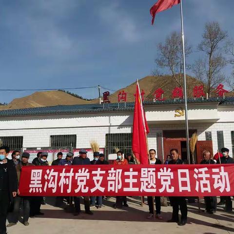 黑沟村“清理河道”主题党日活动