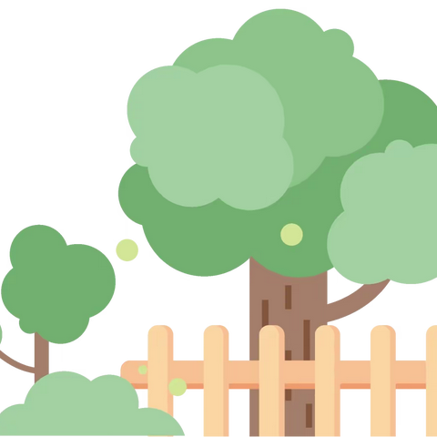 停课不停学，网课也精彩——临沂齐鲁园小学2020级11班多样网课