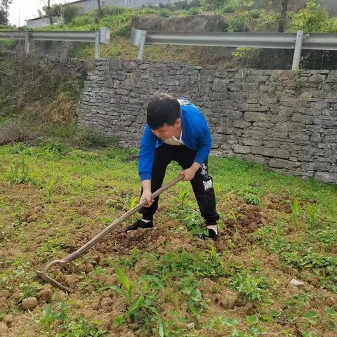 实验小学二年级（4）班向建国
