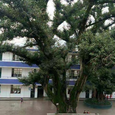 向英雄致敬，做自己的英雄