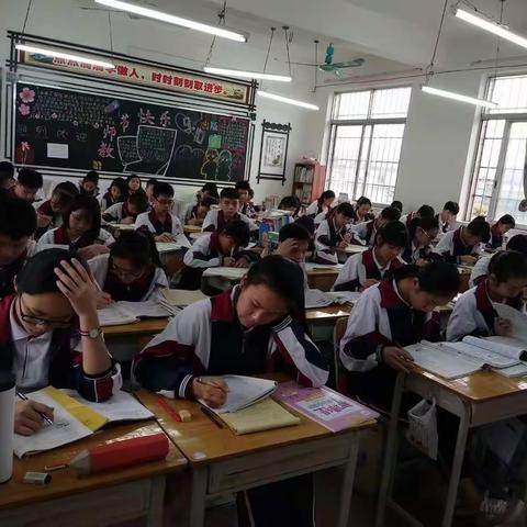 163班小可爱们