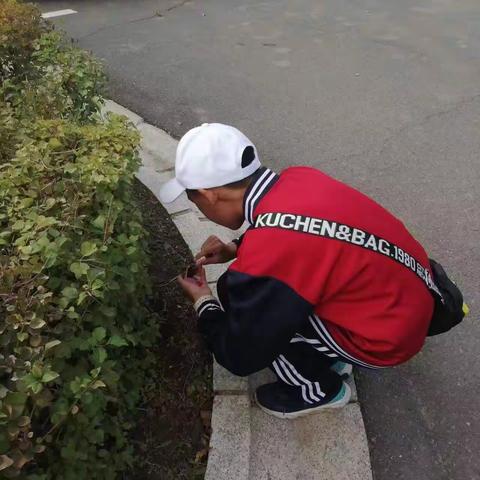 实践锻炼意志，劳动成就未来——七年一班社会实践