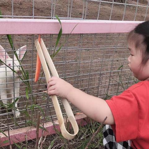 大家好，我是梅钰涵，我的小名：涵宝（不过我更喜欢大家叫我涵宝宝👶🏻）我今年3岁啦，我是个小班的宝宝。