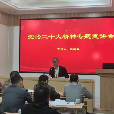 陈有强同志到通什镇什会村宣讲党的二十大精神