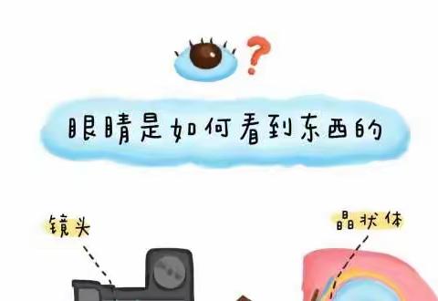 今天是6月6日“全国爱眼日”｜一张图教孩子爱护自己的眼睛！——博雅幼儿园