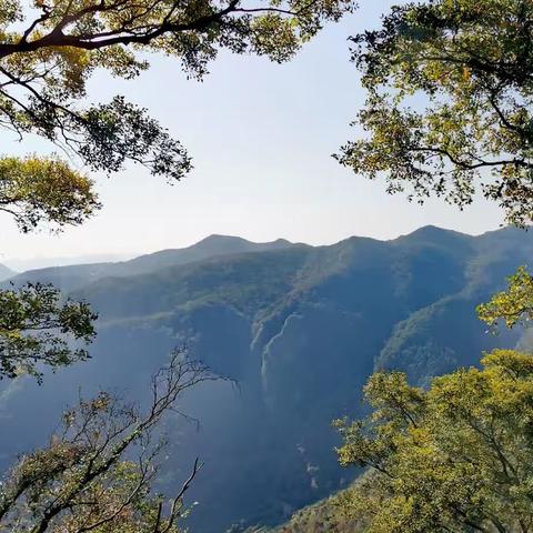 到象山赴一场山海之约