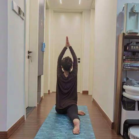 高二上形体展示