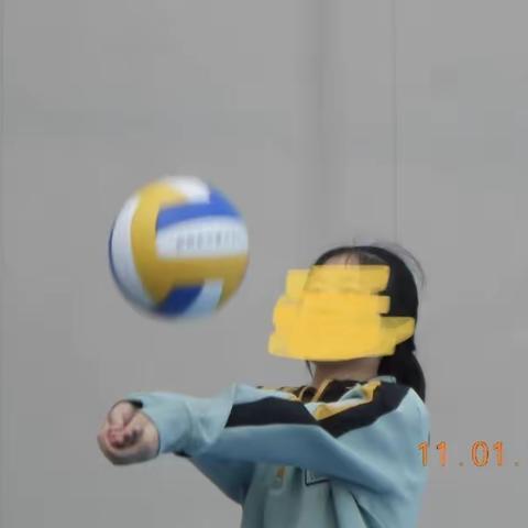 排球