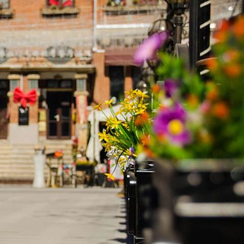 天津之行     五大道，意大利风情区，南市食品街，海河广场， 瓷房子，文化街。