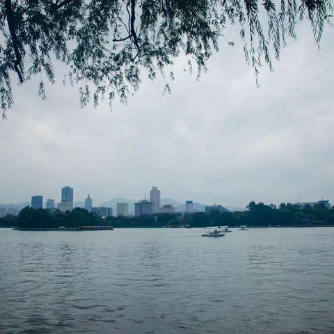 今日雨后大明湖