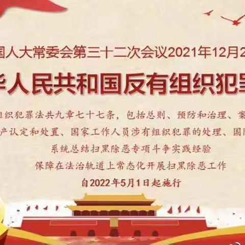 扬正气，树新风，打击有组织犯罪——达仁镇枫坪小学