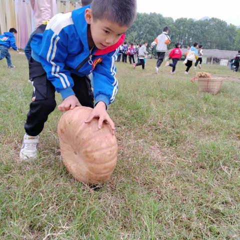 【久佰行走课堂】渝中区金马小学校一年级一班花田稻海里的成长诗